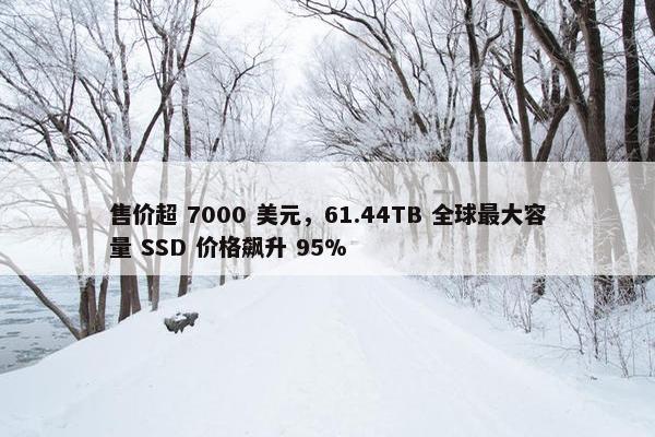 售价超 7000 美元，61.44TB 全球最大容量 SSD 价格飙升 95%