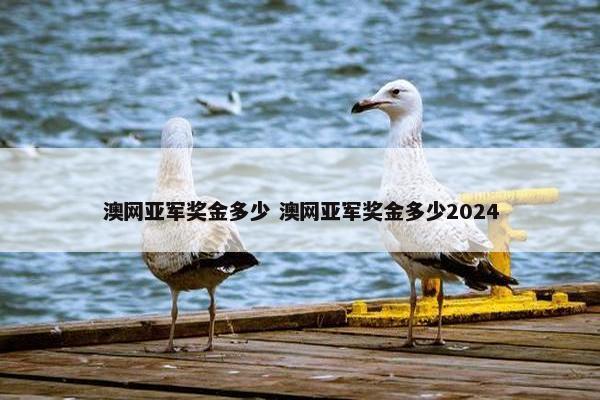 澳网亚军奖金多少 澳网亚军奖金多少2024