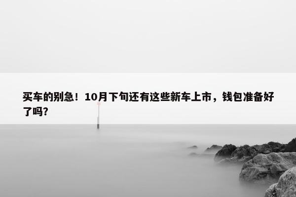 买车的别急！10月下旬还有这些新车上市，钱包准备好了吗？