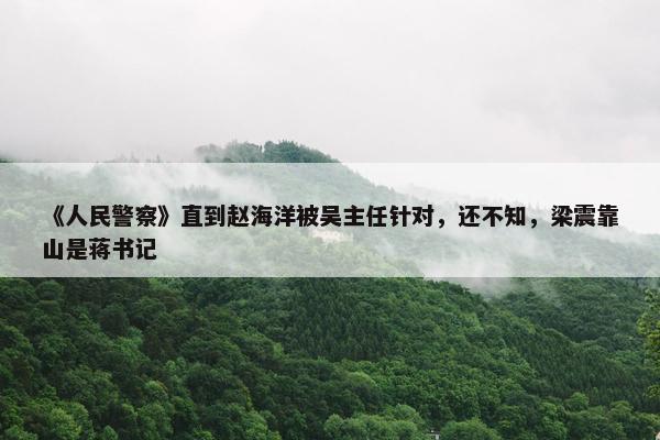 《人民警察》直到赵海洋被吴主任针对，还不知，梁震靠山是蒋书记