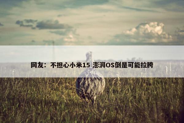 网友：不担心小米15 澎湃OS倒是可能拉胯