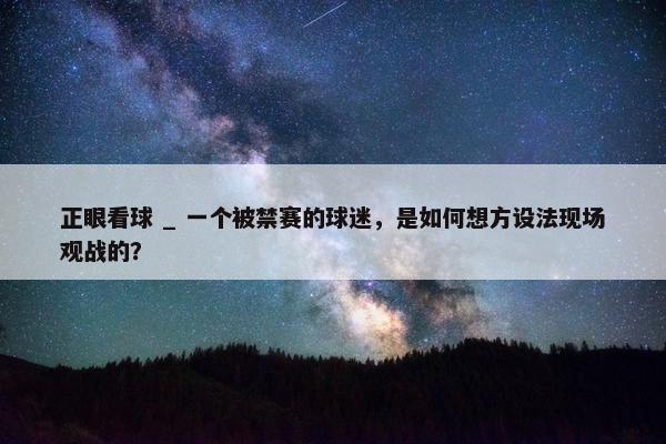 正眼看球 _ 一个被禁赛的球迷，是如何想方设法现场观战的？