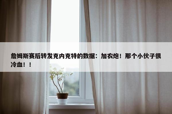 詹姆斯赛后转发克内克特的数据：加农炮！那个小伙子很冷血！！