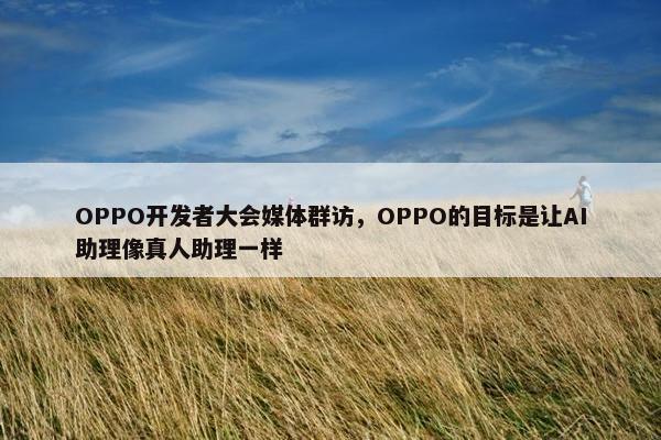 OPPO开发者大会媒体群访，OPPO的目标是让AI助理像真人助理一样