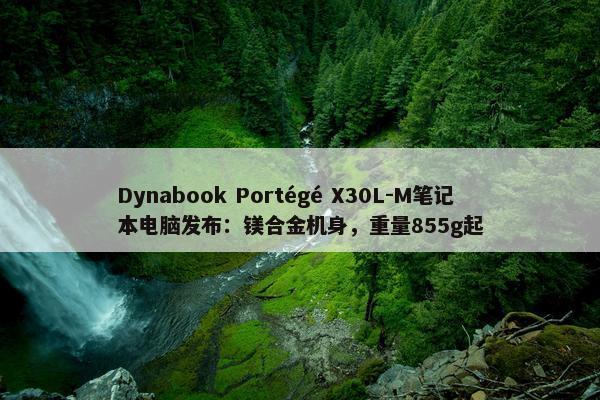 Dynabook Portégé X30L-M笔记本电脑发布：镁合金机身，重量855g起