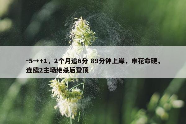 -5→+1，2个月追6分 89分钟上岸，申花命硬，连续2主场绝杀后登顶