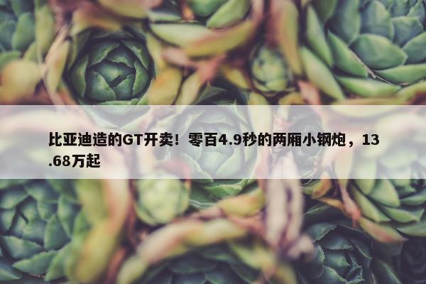 比亚迪造的GT开卖！零百4.9秒的两厢小钢炮，13.68万起