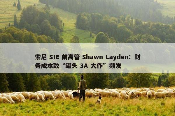 索尼 SIE 前高管 Shawn Layden：财务成本致“罐头 3A 大作”频发