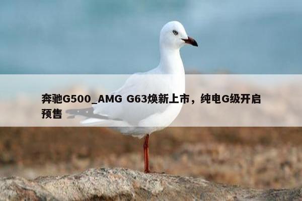 奔驰G500_AMG G63焕新上市，纯电G级开启预售