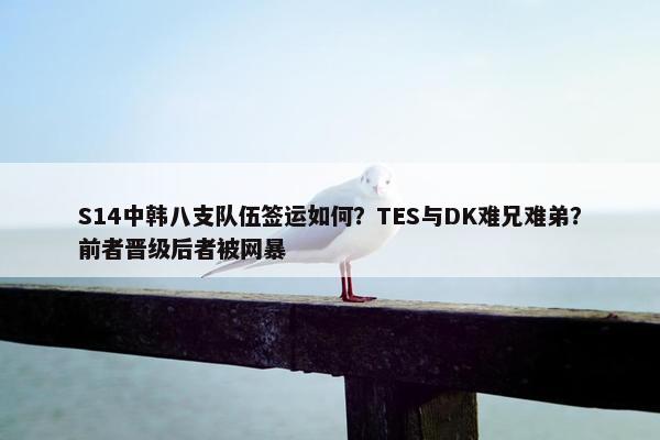 S14中韩八支队伍签运如何？TES与DK难兄难弟？前者晋级后者被网暴