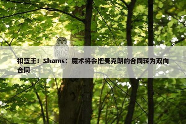 扣篮王！Shams：魔术将会把麦克朗的合同转为双向合同