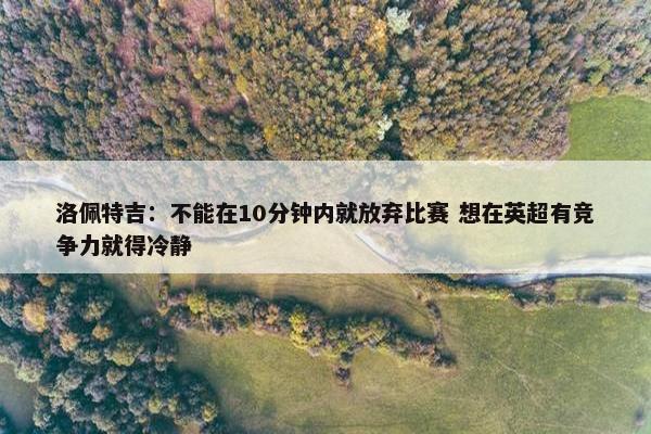 洛佩特吉：不能在10分钟内就放弃比赛 想在英超有竞争力就得冷静