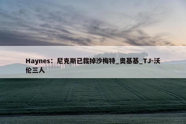 Haynes：尼克斯已裁掉沙梅特_奥基基_TJ-沃伦三人