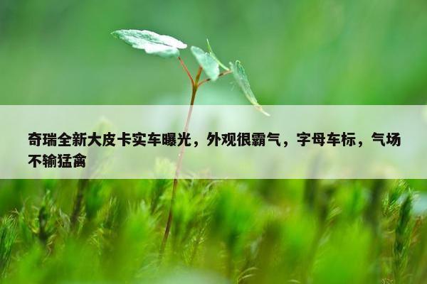 奇瑞全新大皮卡实车曝光，外观很霸气，字母车标，气场不输猛禽