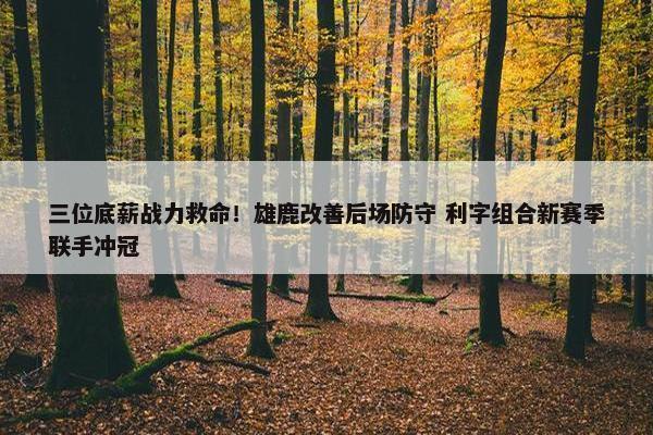 三位底薪战力救命！雄鹿改善后场防守 利字组合新赛季联手冲冠