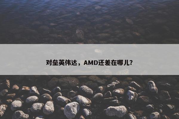 对垒英伟达，AMD还差在哪儿？