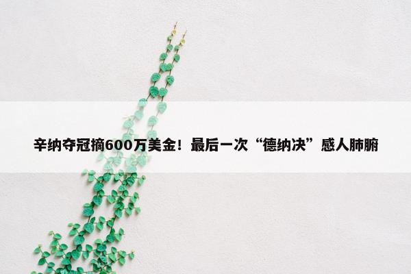 辛纳夺冠摘600万美金！最后一次“德纳决”感人肺腑