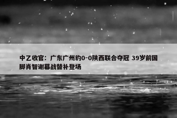 中乙收官：广东广州豹0-0陕西联合夺冠 39岁前国脚肖智谢幕战替补登场