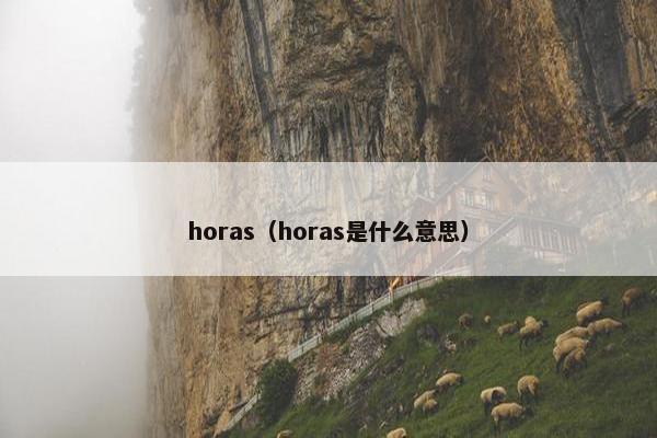 horas（horas是什么意思）