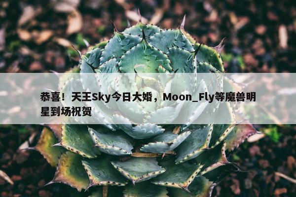 恭喜！天王Sky今日大婚，Moon_Fly等魔兽明星到场祝贺