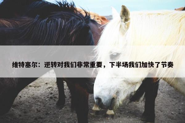 维特塞尔：逆转对我们非常重要，下半场我们加快了节奏