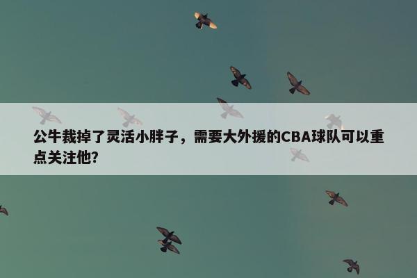 公牛裁掉了灵活小胖子，需要大外援的CBA球队可以重点关注他？