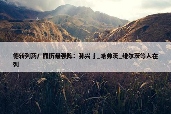 德转列药厂履历最强阵：孙兴慜_哈弗茨_维尔茨等人在列