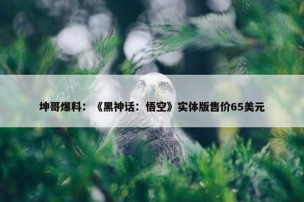 坤哥爆料：《黑神话：悟空》实体版售价65美元